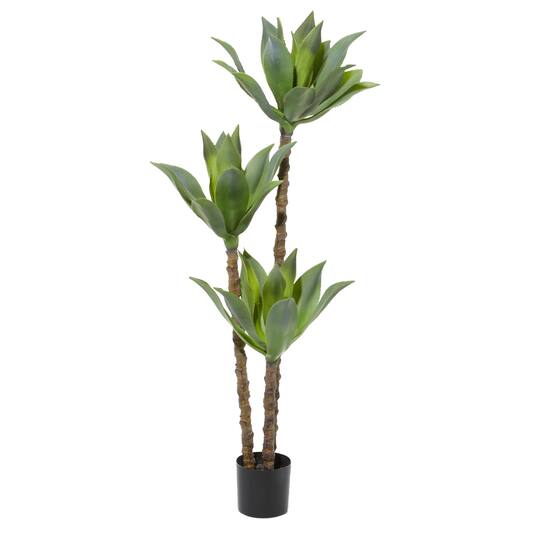 5ft. Potted Yucca Tree